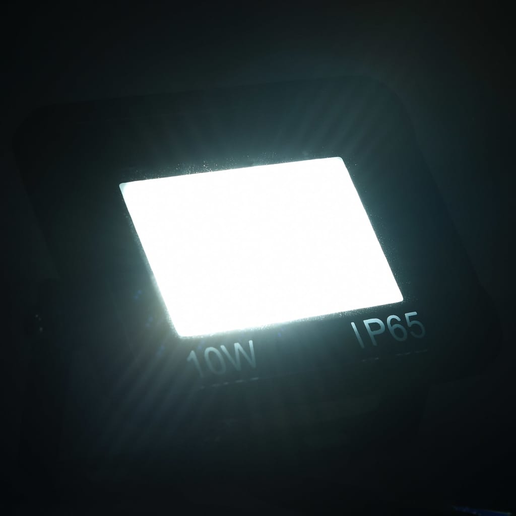  LED reflektor 10 W studené biele svetlo