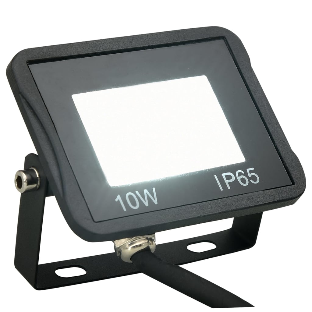 Proiectoare cu LED, 10 W, 2 buc., alb rece