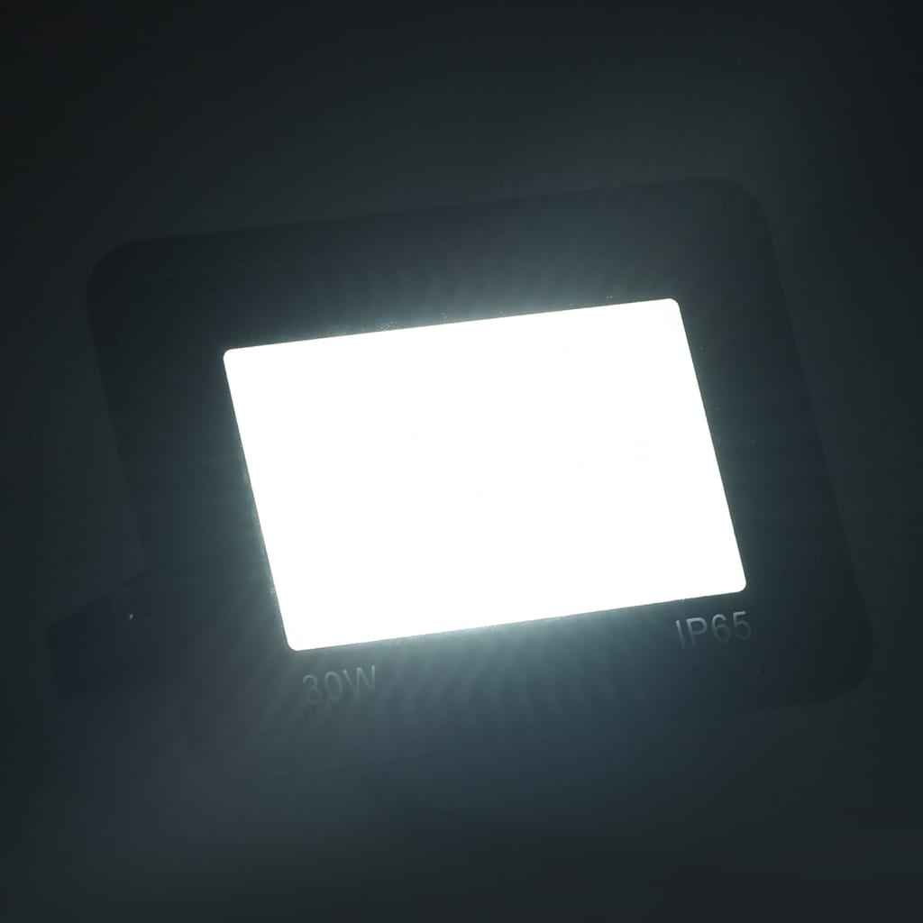 

vidaXL Spotlight LED 30 W koudwit