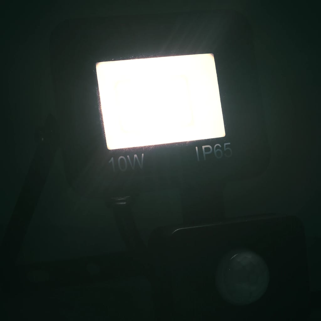 

vidaXL Spotlight met sensor LED 10 W koudwit