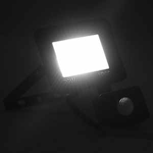 vidaXL LED prožektorius su jutikliu, &scaron;altos baltos spalvos, 20W
