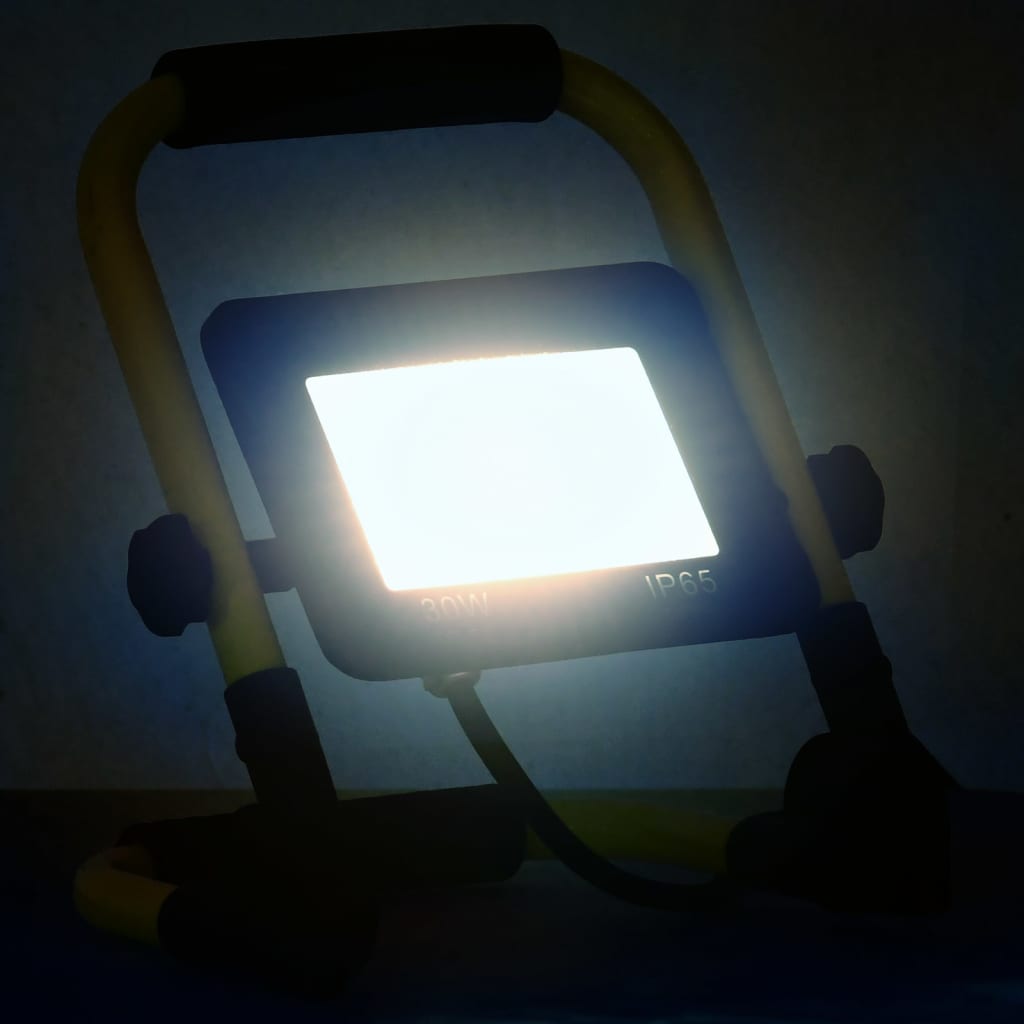 vidaXL Spotlight met handvat LED 30 W koudwit afbeelding