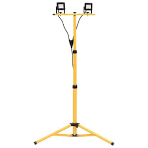 vidaXL statiiviga LED prožektor, 2 x 10 W, soe valge