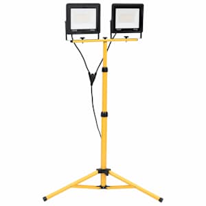 vidaXL statiiviga LED prožektor, 2 x 100 W, k&uuml;lm valge