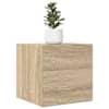 Sonoma_oak