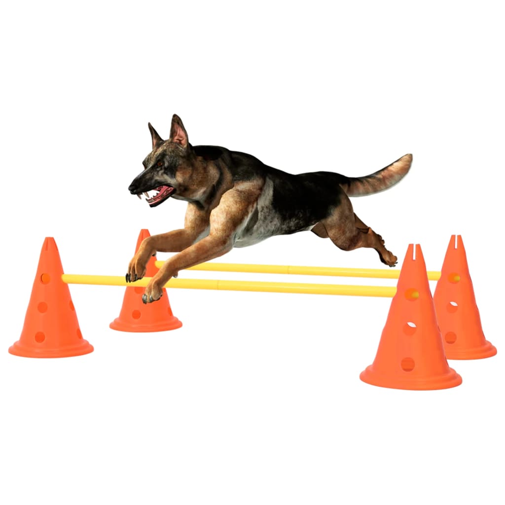 Obstacles agility pour chien Orange et jaune