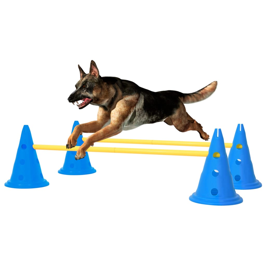 Obstacles agility pour chien Bleu et jaune