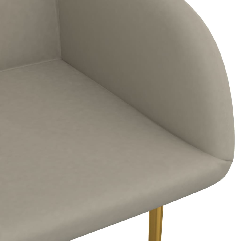 Valgomojo kėdės, 2vnt., šviesiai pilkos spalvos, aksomas | Stepinfit