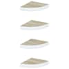 Oak_and_white