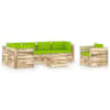 Bright_green_and_brown