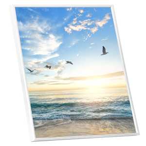 vidaXL Fotolijsten 5 st voor wand 50x50 cm MDF wit