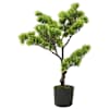 Dark_green