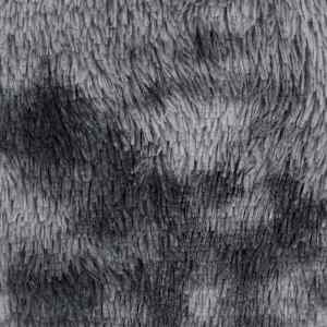 vidaXL Shaggy tipo kilimėlis, antracito spalvos, 300x200cm