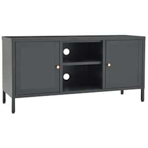 vidaXL telerikapp, antratsiithall, 105x35x52 cm, teras ja klaas