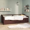 Dark_brown