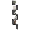 Toote pisipilt  7 / 9