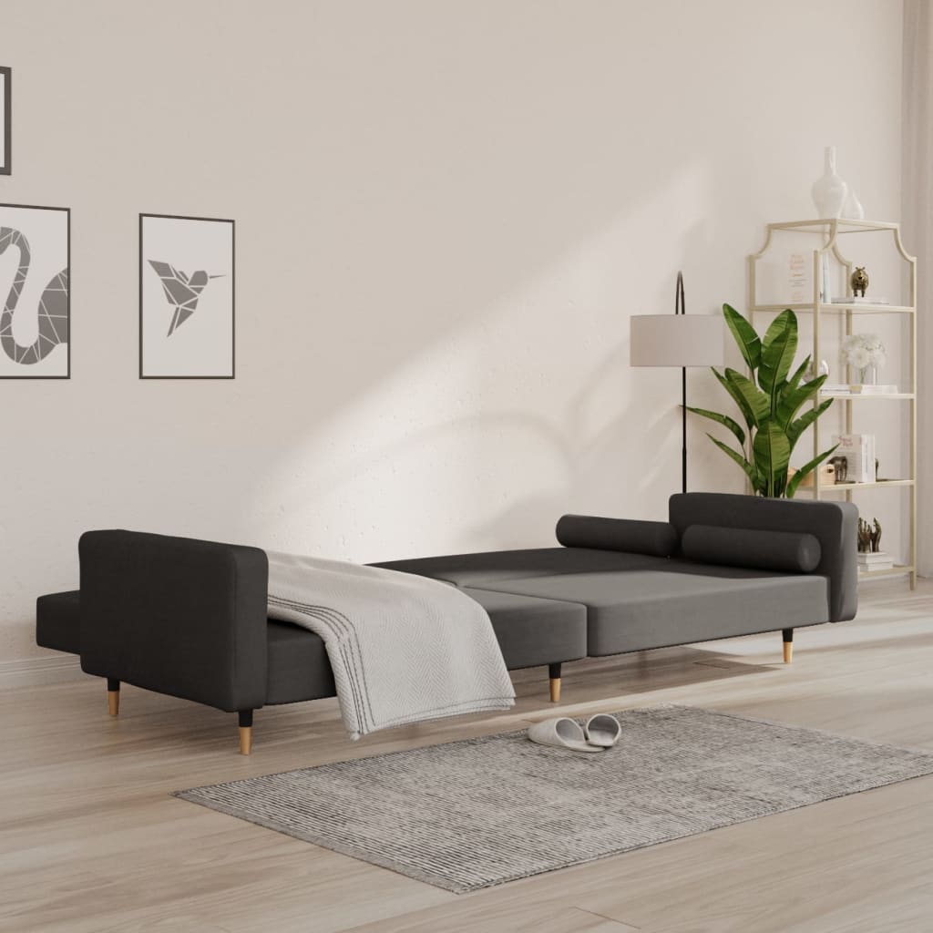 vidaXL Dvivietė sofa-lova su dvejomis pagalvėmis, pilka, aksomas