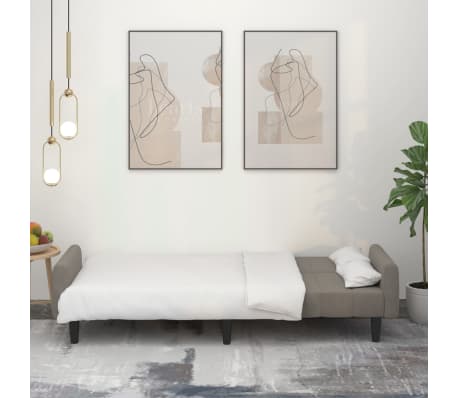 vidaXL 2-miestna rozkladacia pohovka bledosiv&aacute; zamatov&aacute;