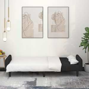 vidaXL Dvivietė sofa-lova, juodos spalvos, aksomas