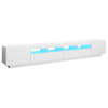 High_gloss_white