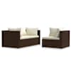 Brown_and_cream