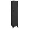 vidaXL lukustatav hoiukapp, antratsiithall, 38 x 45 x 180 cm, teras