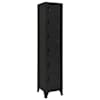 vidaXL lukustatav hoiukapp, must, 38 x 40 x 180 cm, teras
