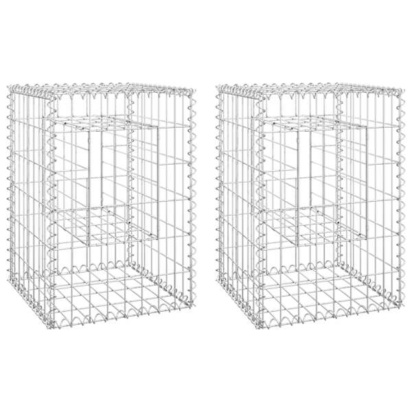 vidaXL gabioonkorvid 2 tk, 40 x 40 x 60 cm, iron
