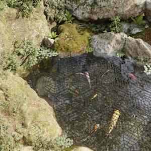 Zaščita za ribnik 40 kosov črn polipropilen