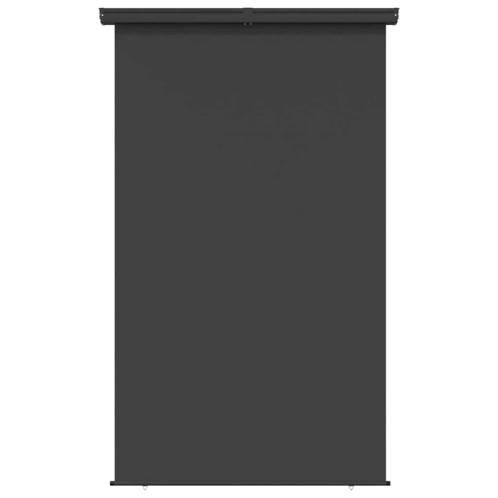 Balkon-Seitenmarkise 170×250 cm Schwarz kaufen