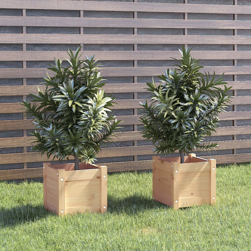 vidaXL plantekasser 2 stk. 31x31x31 cm massivt fyrretræ