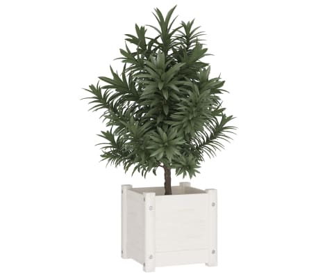 vidaXL Sodo loveliai, 2vnt., balti, 31x31x31cm, pušies masyvas