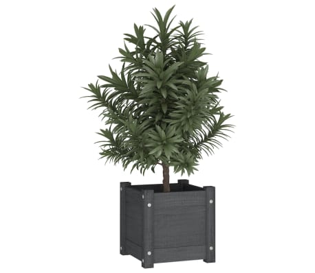 vidaXL Garden Planter Grey 31x31x31 cm Solid Pinewood