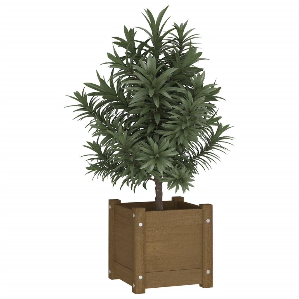 

vidaXL Plantenbak 31x31x31 cm massief grenenhout honingbruin