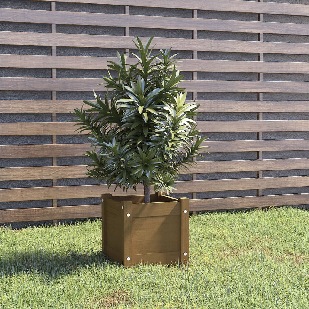 vidaXL plantekasse 31x31x31 cm massivt fyrretræ gyldenbrun
