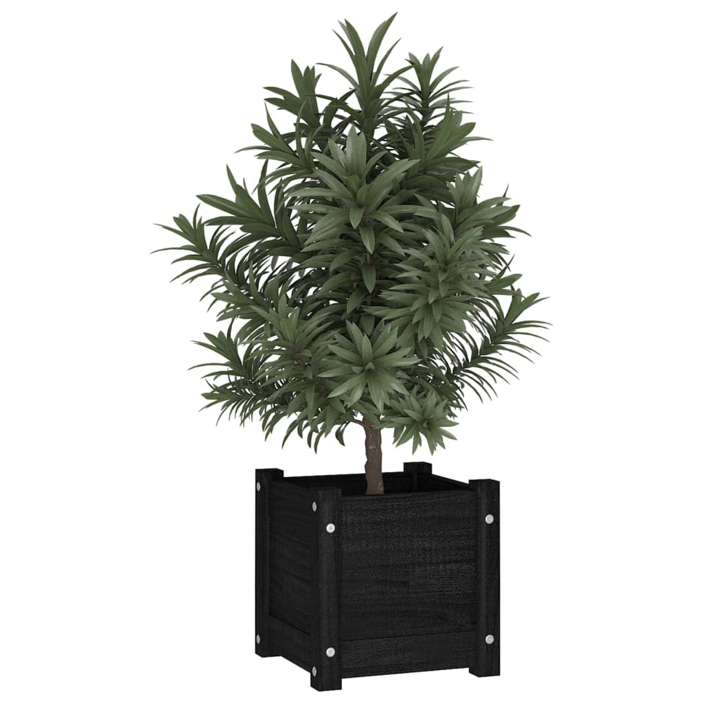 vidaXL Plantenbak 31x31x31 cm massief grenenhout zwart afbeelding