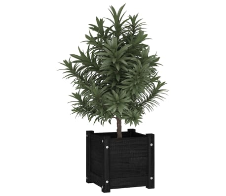 vidaXL Plantenbak 31x31x31 cm massief grenenhout zwart