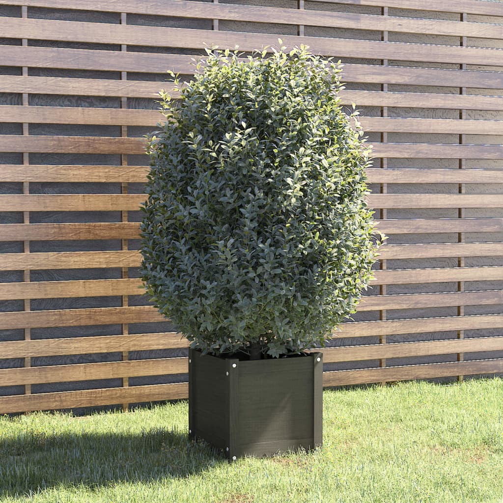 vidaXL plantekasse 40x40x40 cm massivt fyrretræ grå