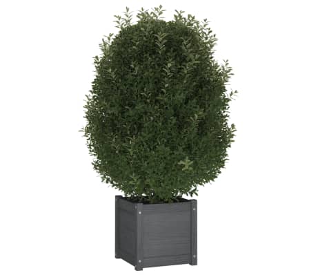 vidaXL Plantenbakken 2 st 40x40x40 cm massief grenenhout grijs