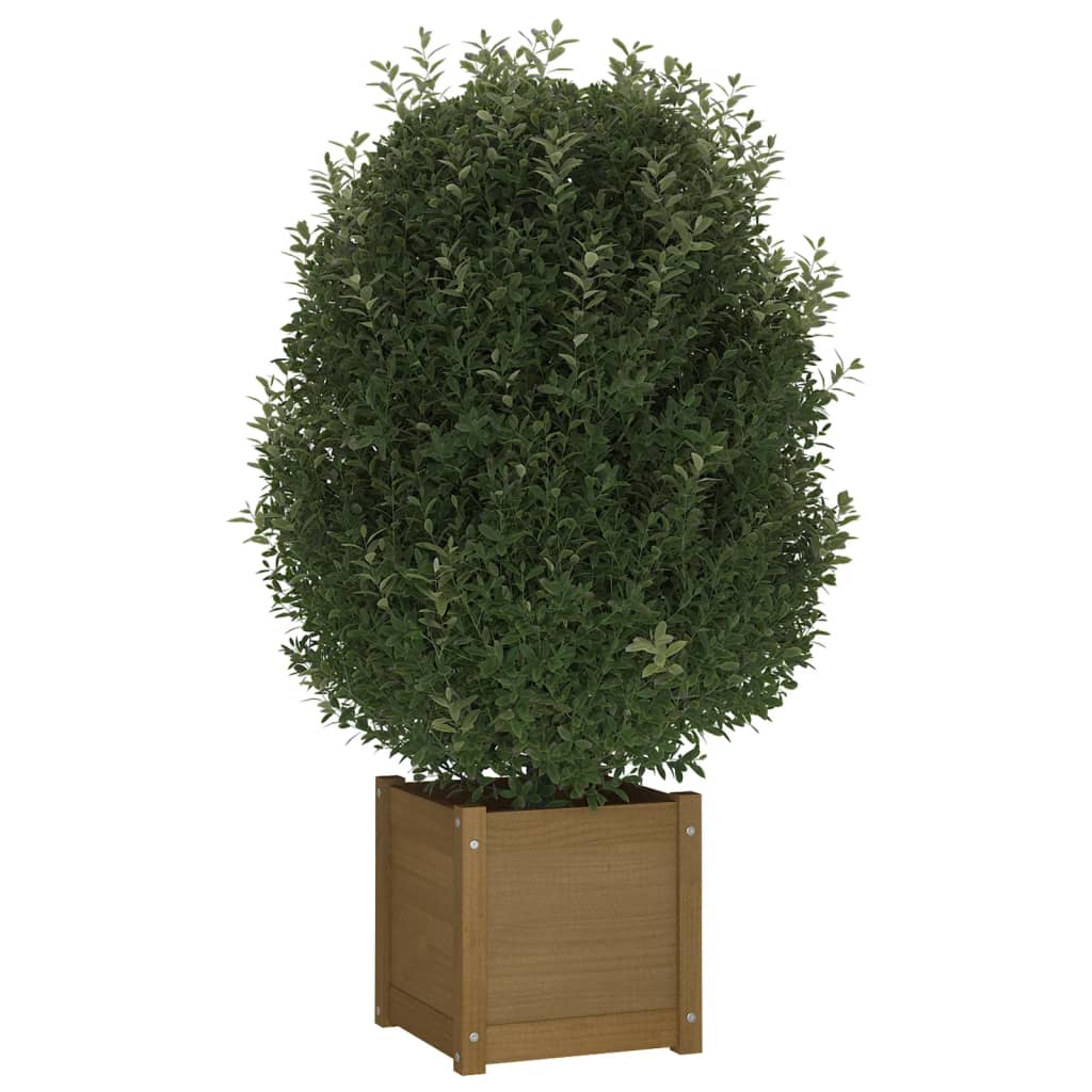 

vidaXL Plantenbak 40x40x40 cm massief grenenhout honingbruin