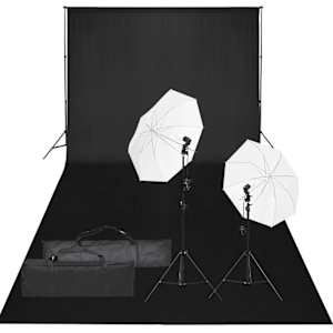 vidaXL fotostuudio komplekt valgustuse ja taustapildiga