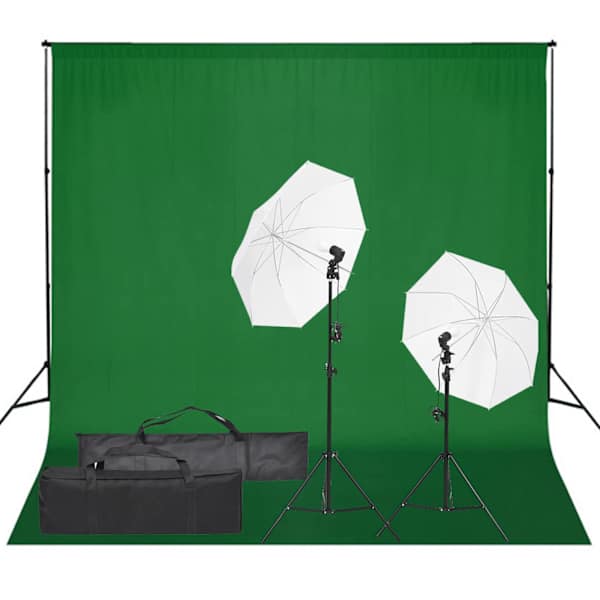 vidaXL fotostuudiokomplekt valgustuse ja taustapildiga