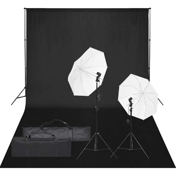 vidaXL fotostuudiokomplekt valgustuse ja taustapildiga
