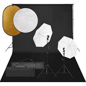 vidaXL fotostuudiokomplekt valgustuse, taustapildi ja reflektoriga
