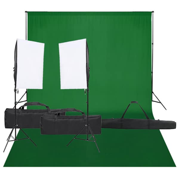 vidaXL fotostuudio komplekt valgustuse ja taustapildiga