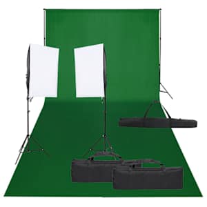 vidaXL fotostuudio komplekt valgustuse ja taustapildiga