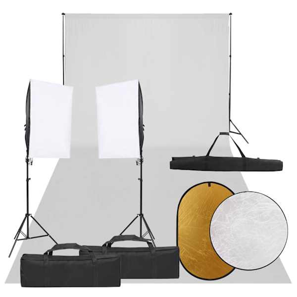 vidaXL fotostuudio komplekt valgustuse, taustapildi ja reflektoriga