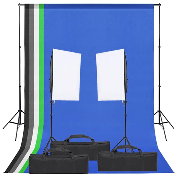 vidaXL fotostuudio komplekt valgustuse ja taustapildiga
