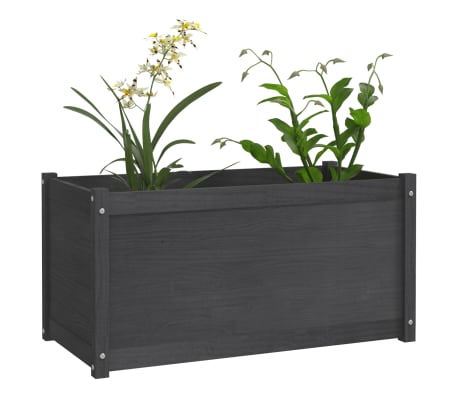 vidaXL Záhradný kvetináč sivý 100x50x50 cm masívna borovica