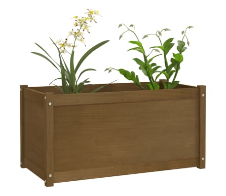 vidaXL Sodo lovelis, medaus rudas, 100x50x50cm, pušies masyvas